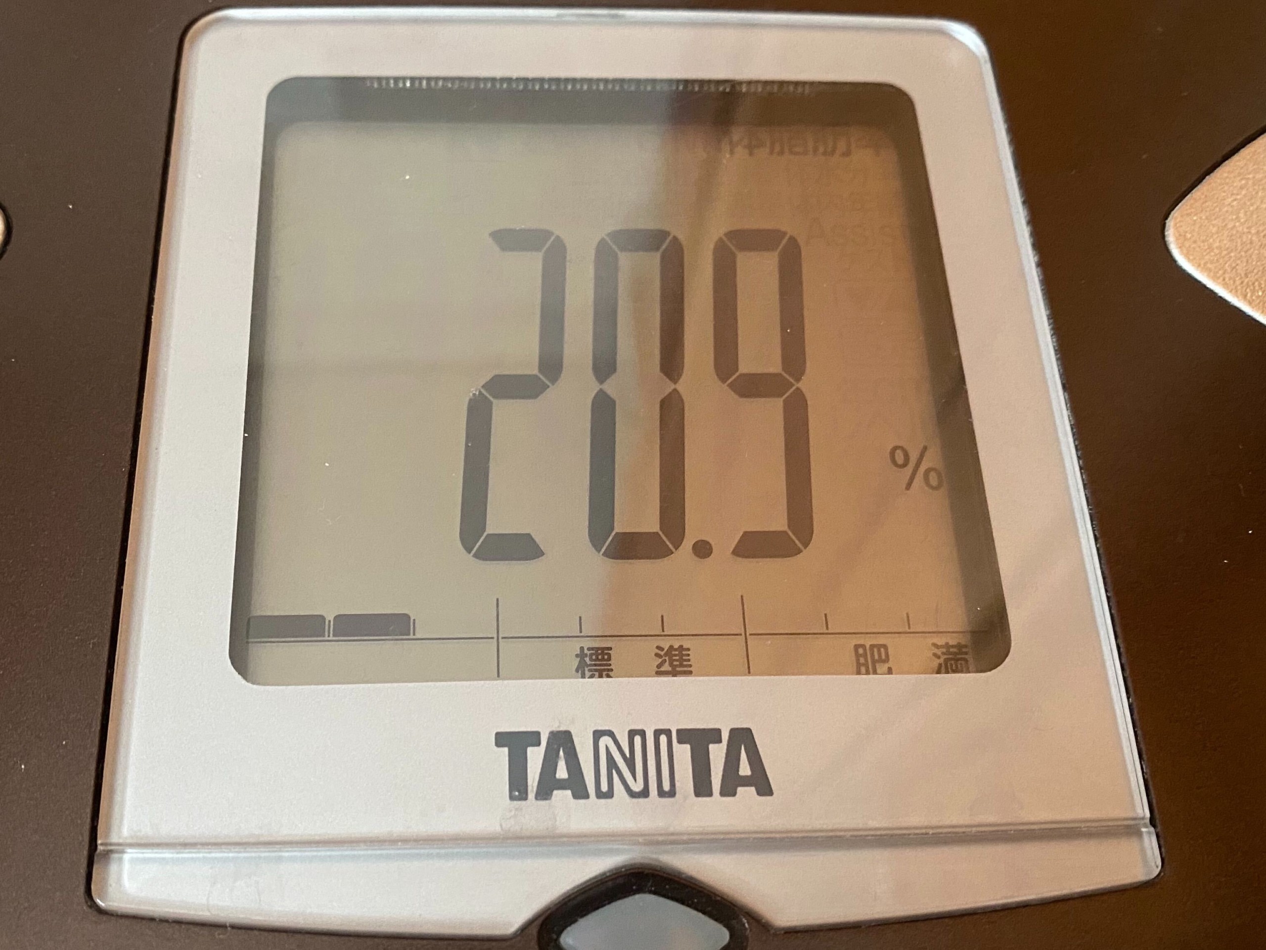 断食翌日の体脂肪率