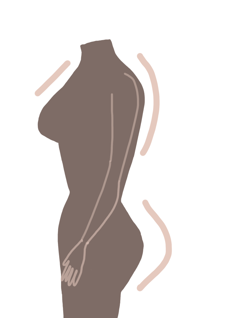 骨格ストレート