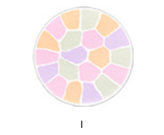 エレガンスパウダー