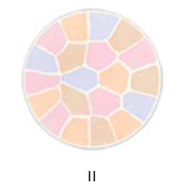 エレガンスパウダー