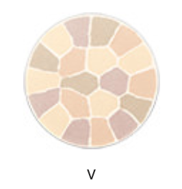 エレガンスパウダー